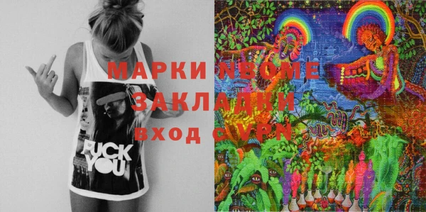 прущие грибы Новозыбков