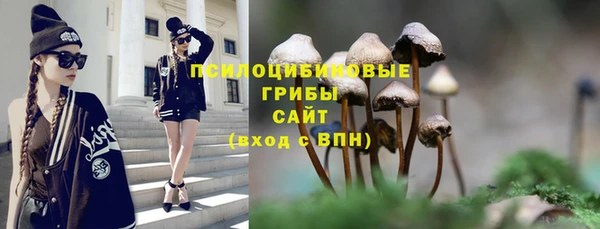 экстази Богданович