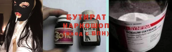 прущие грибы Новозыбков
