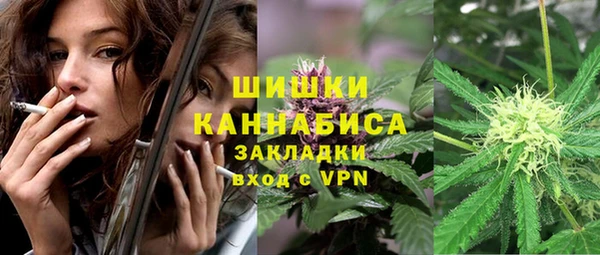 прущие грибы Новозыбков
