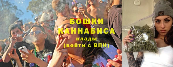 PSILOCYBIN Новодвинск