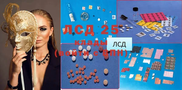 ПСИЛОЦИБИНОВЫЕ ГРИБЫ Абаза