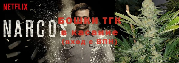 PSILOCYBIN Новодвинск