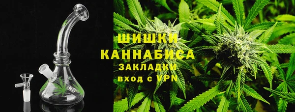 ПСИЛОЦИБИНОВЫЕ ГРИБЫ Абаза