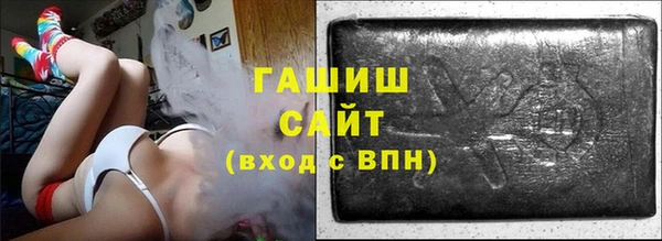 прущие грибы Новозыбков